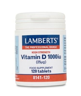 Lamberts Vitamin D31000ui 120tabs